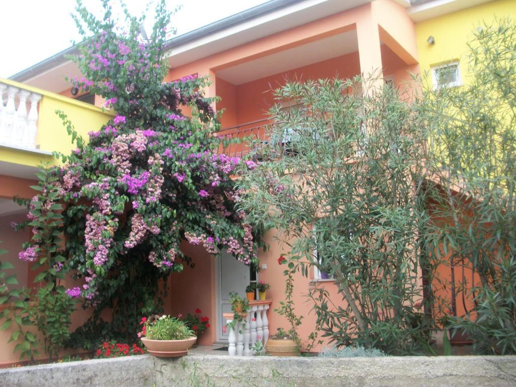 Apartments Mirjana Петркане Екстериор снимка